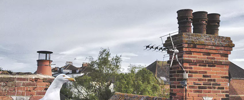 Chimney Cleaning And Restoration in Burke Centre, Virginia